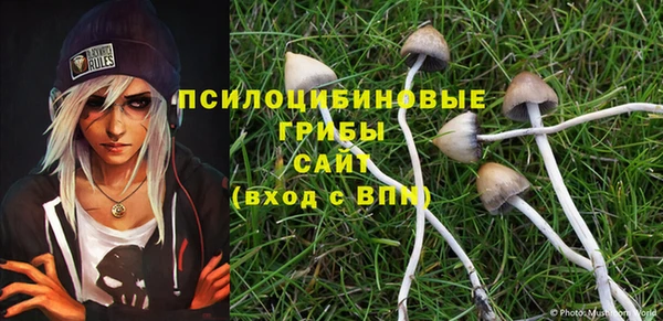 mix Бородино