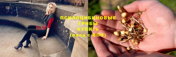 бошки Верхний Тагил