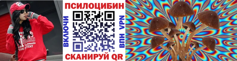 Псилоцибиновые грибы GOLDEN TEACHER  Гай 