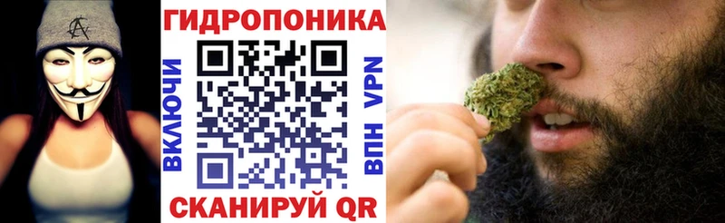 магазин  наркотиков  Гай  дарк нет состав  Бошки Шишки марихуана 